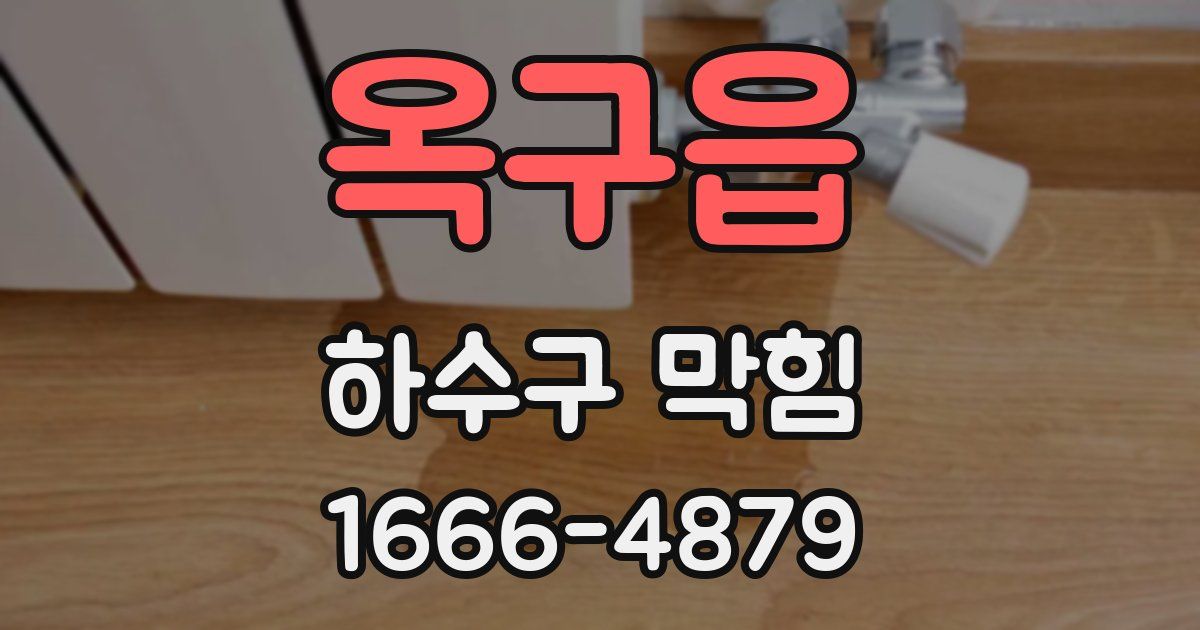 옥구읍 하수구 막힘