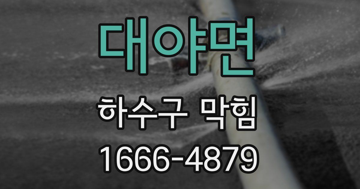 대야면 하수구 막힘
