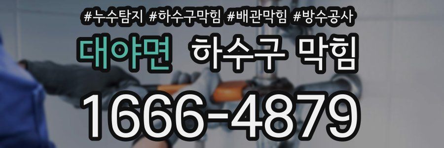 대야면 하수구 막힘
