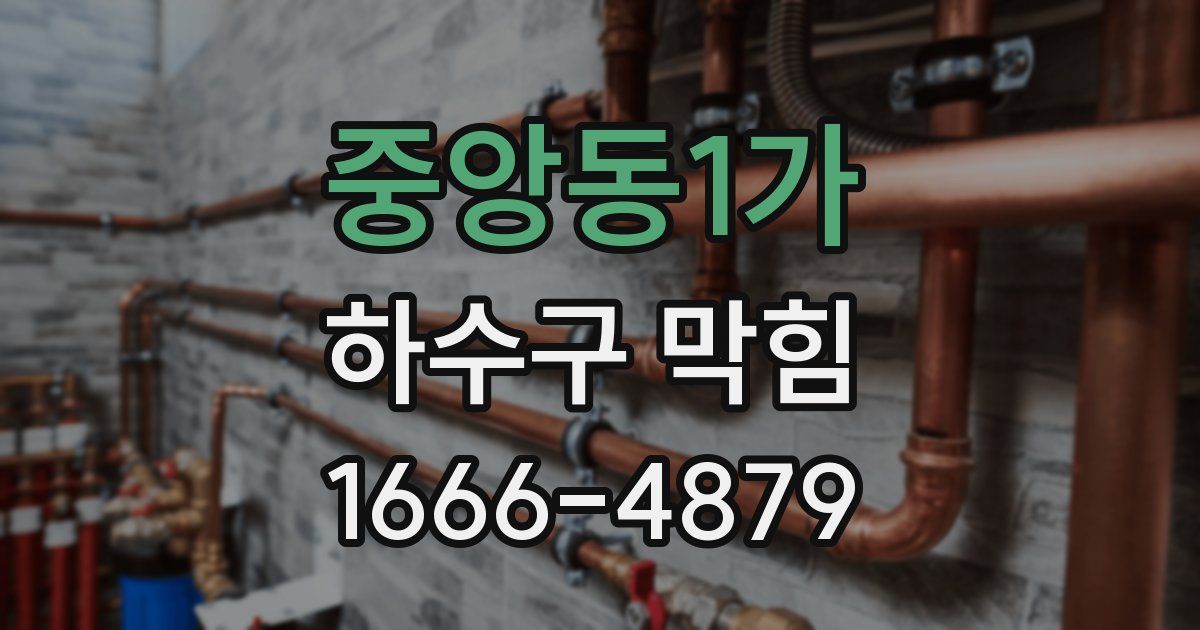 중앙동1가 하수구 막힘