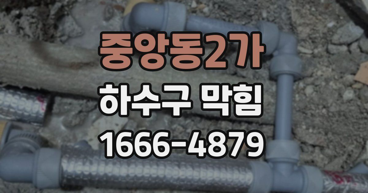 중앙동2가 하수구 막힘