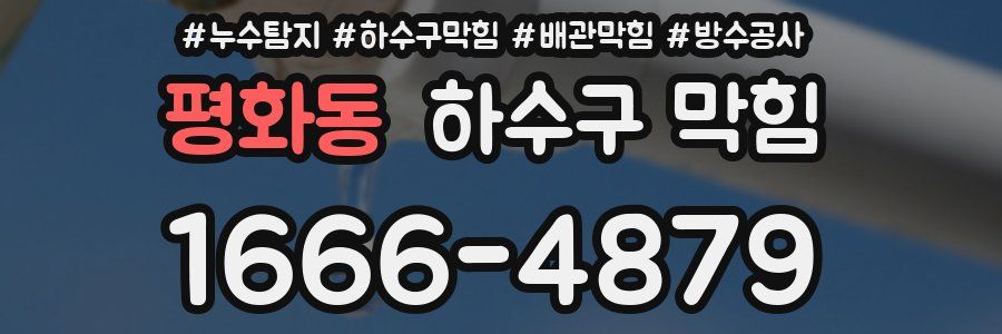 평화동 하수구 막힘