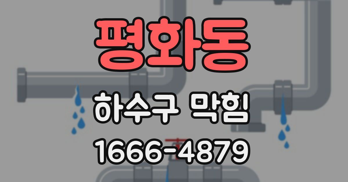 평화동 하수구 막힘