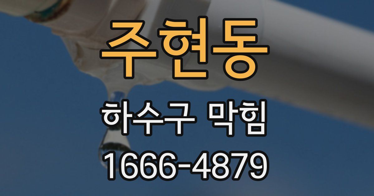 주현동 하수구 막힘