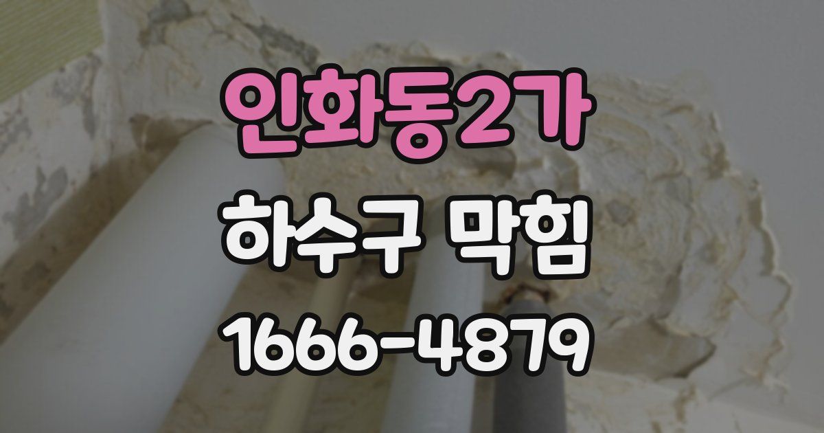 인화동2가 하수구 막힘