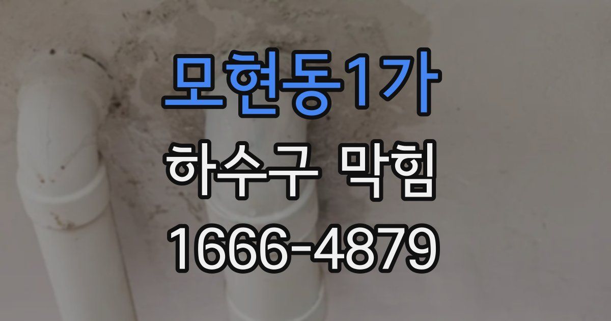 모현동1가 하수구 막힘