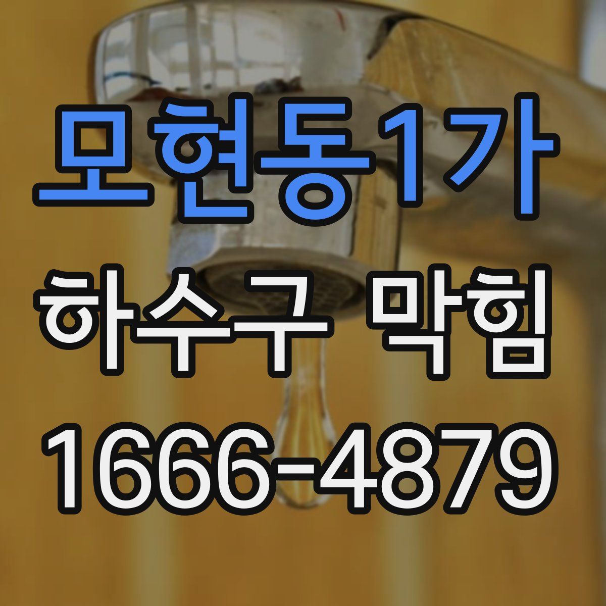 모현동1가 하수구 막힘