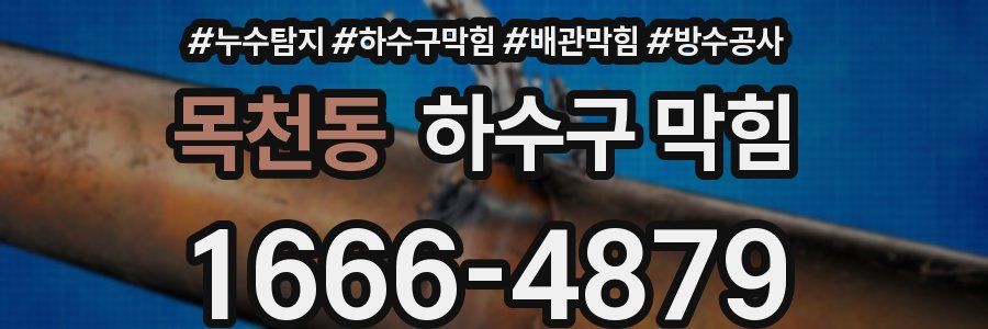 목천동 하수구 막힘