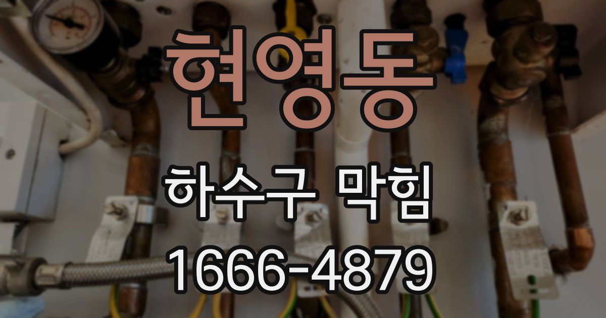 현영동 하수구 막힘