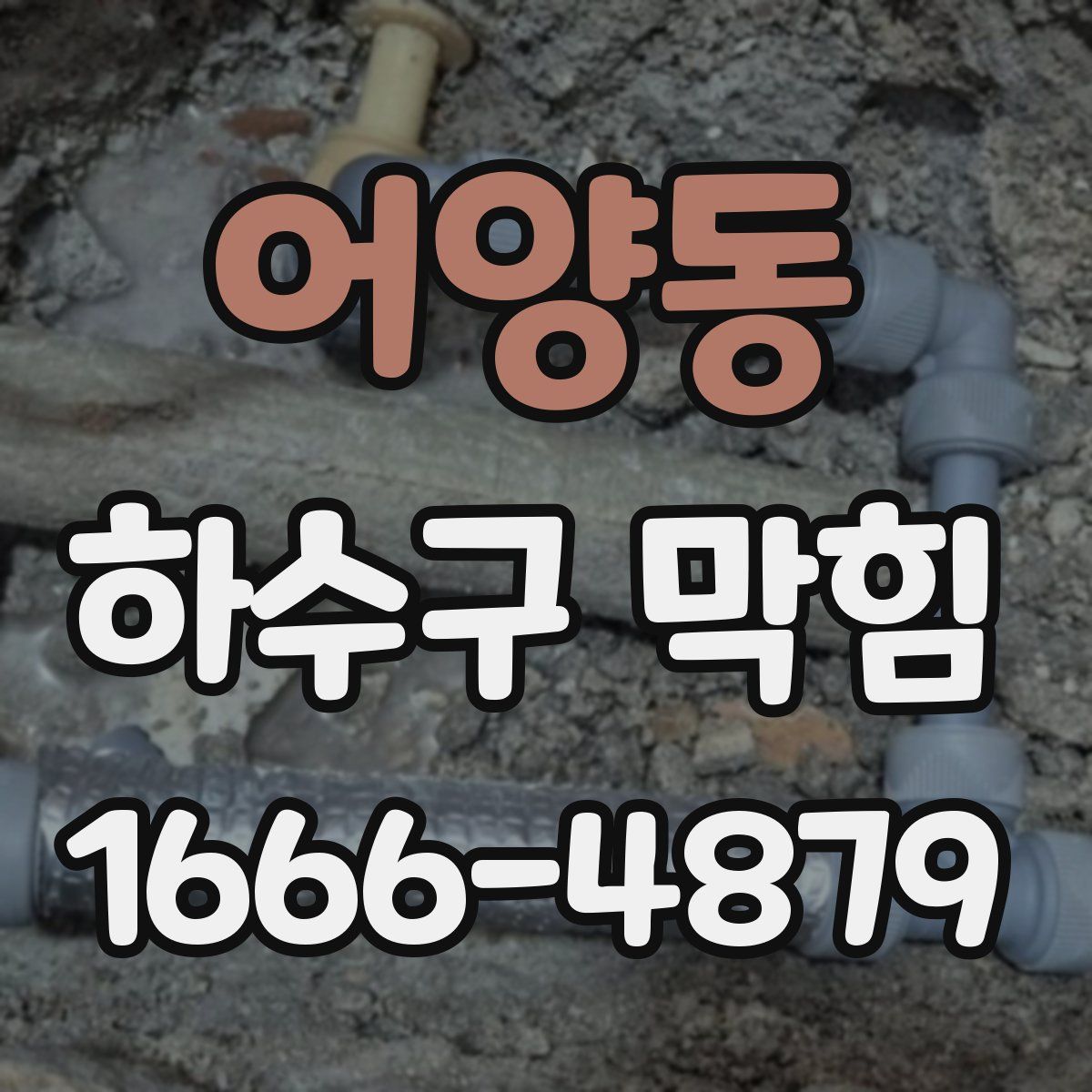 어양동 하수구 막힘