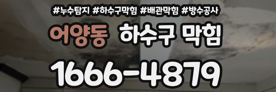 어양동 하수구 막힘