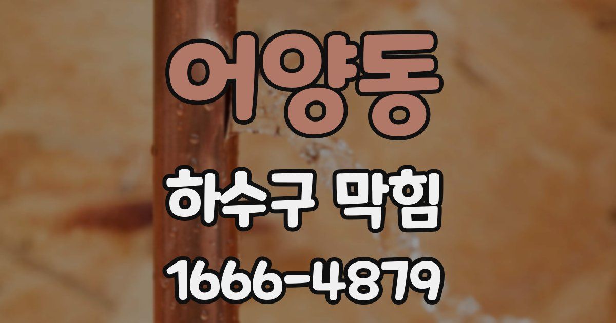 어양동 하수구 막힘