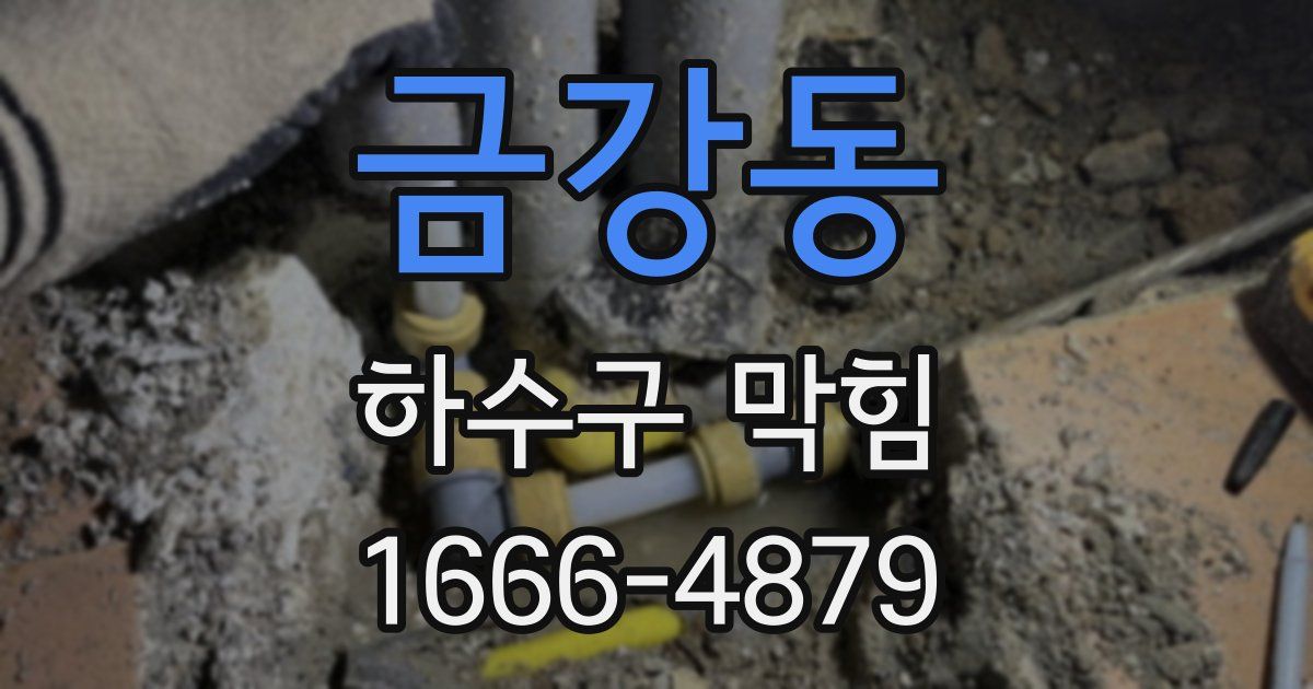 금강동 하수구 막힘