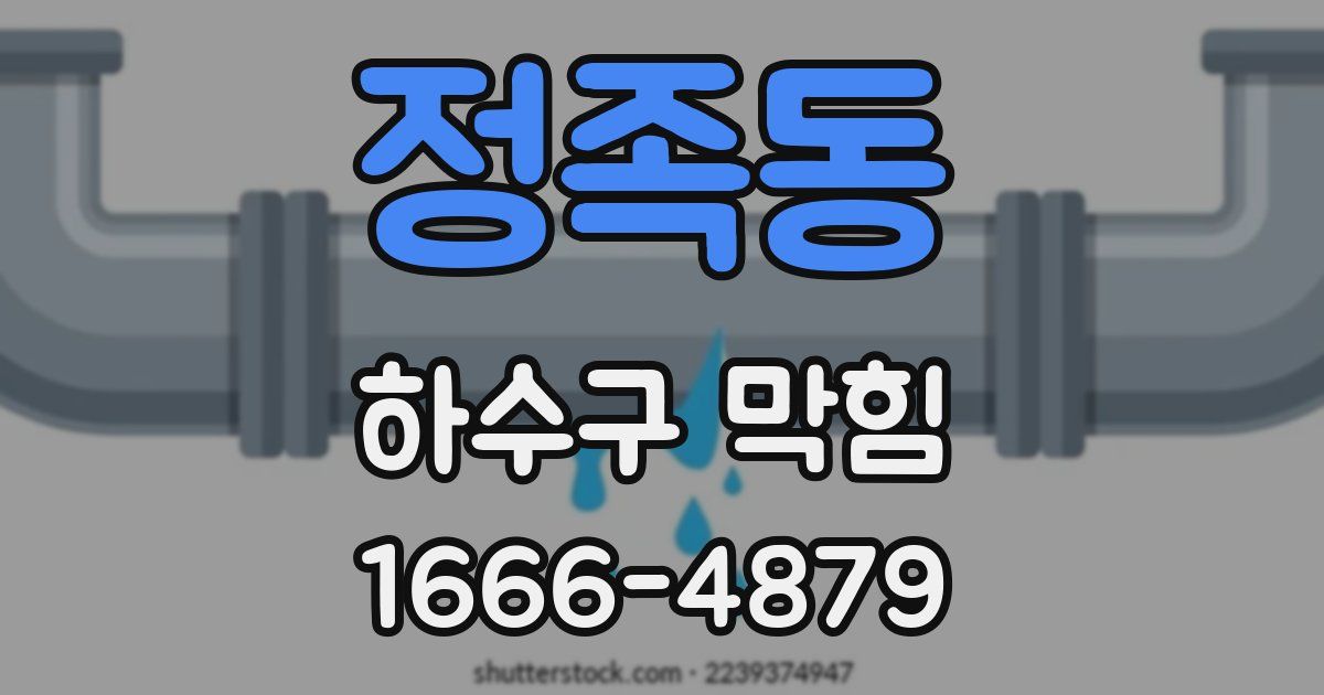 정족동 하수구 막힘