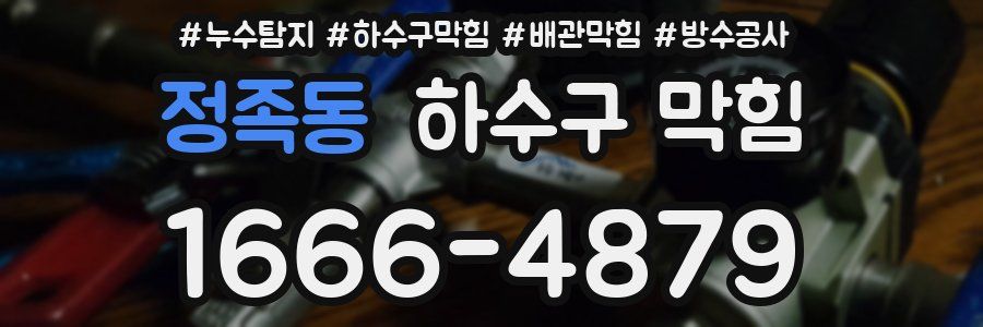 정족동 하수구 막힘