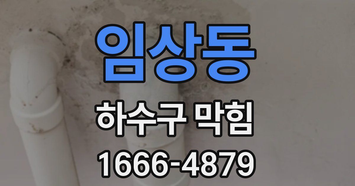임상동 하수구 막힘