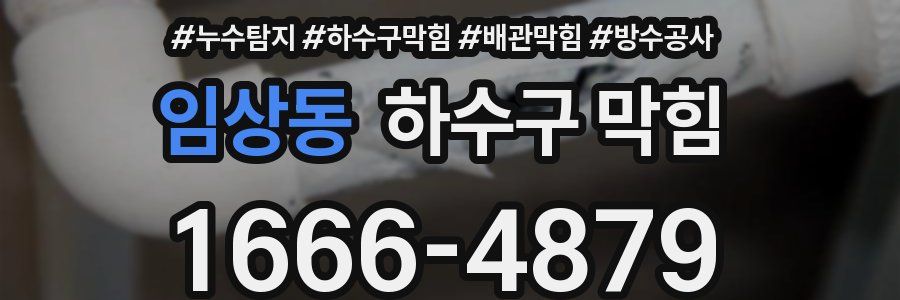 임상동 하수구 막힘