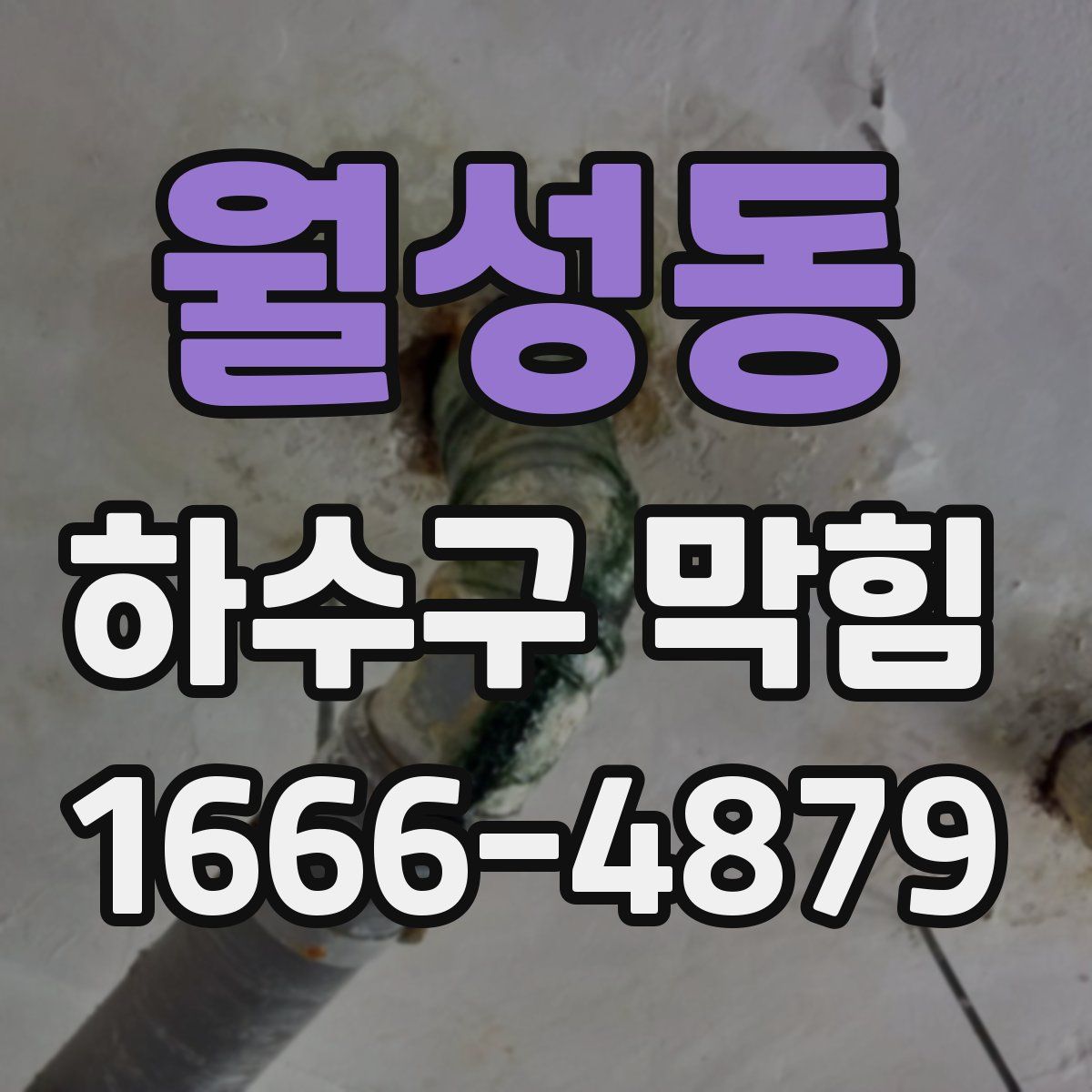 월성동 하수구 막힘