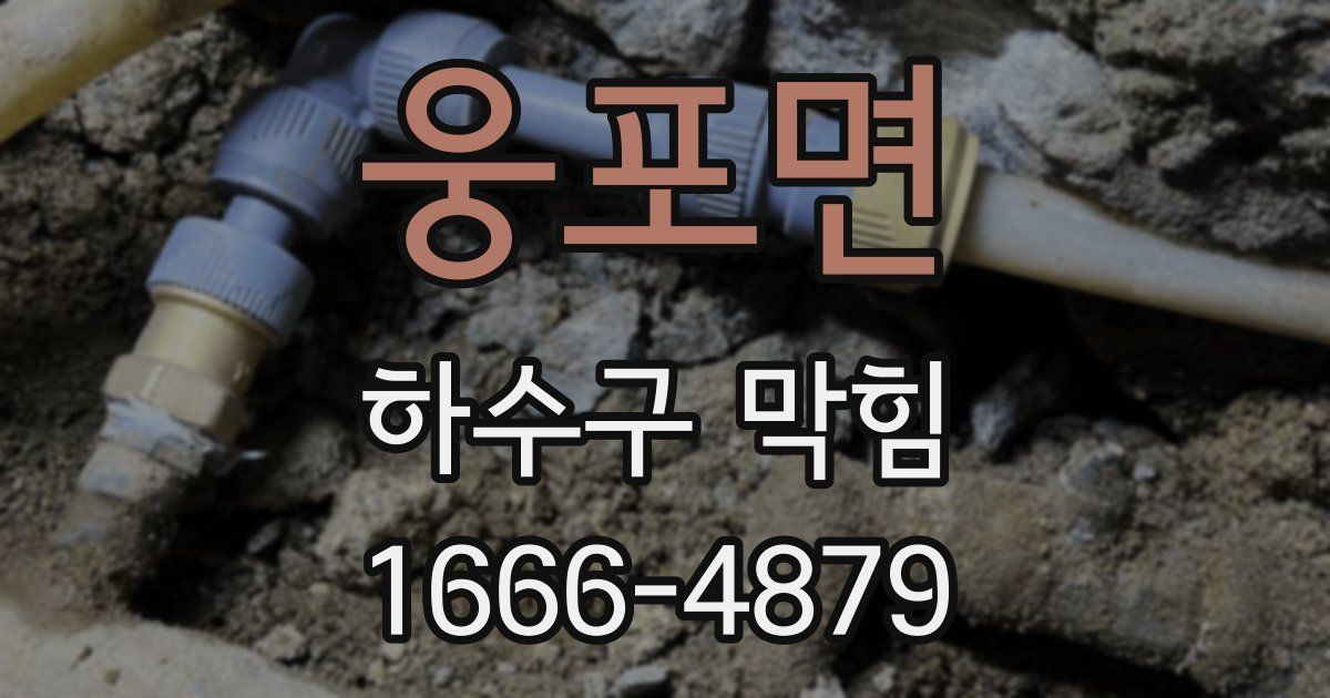 웅포면 하수구 막힘