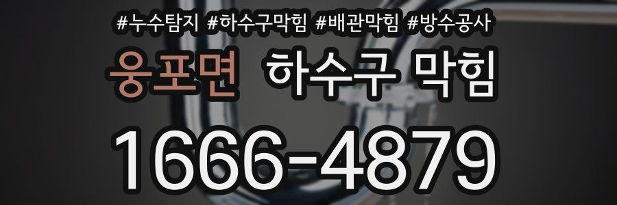 웅포면 하수구 막힘