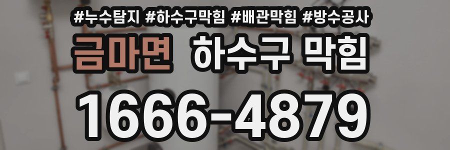 금마면 하수구 막힘