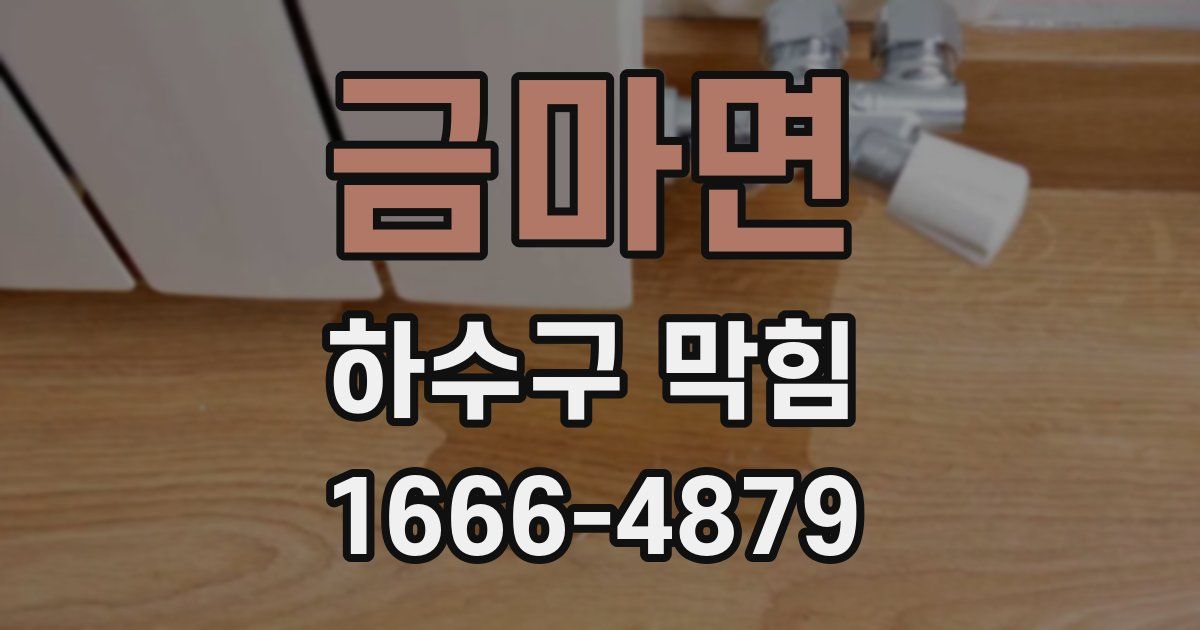 금마면 하수구 막힘