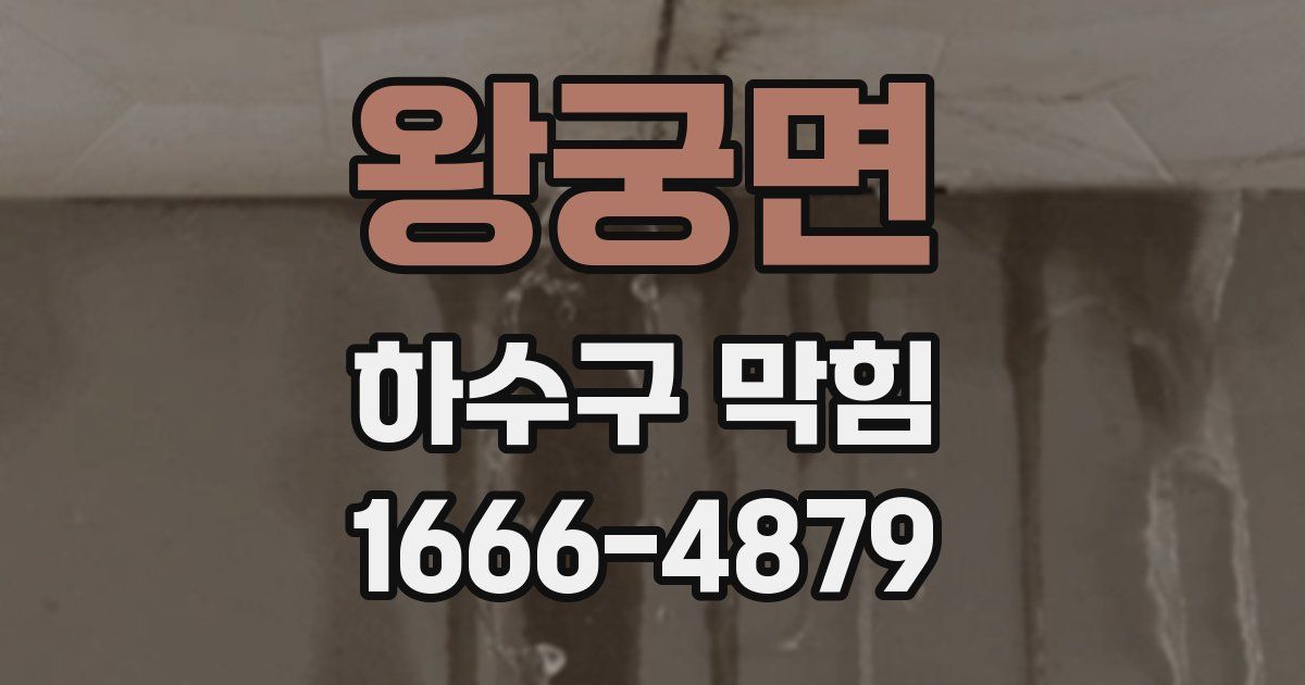 왕궁면 하수구 막힘