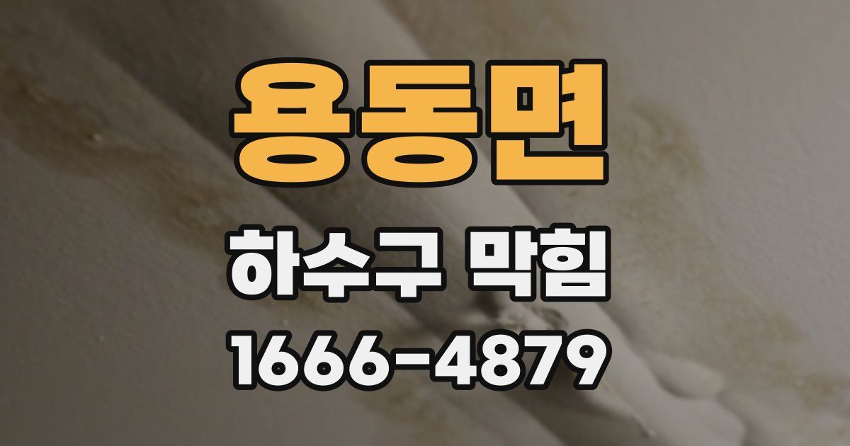 용동면 하수구 막힘