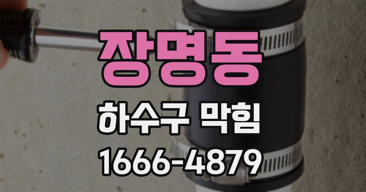 장명동 하수구 막힘