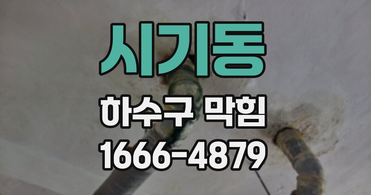 시기동 하수구 막힘