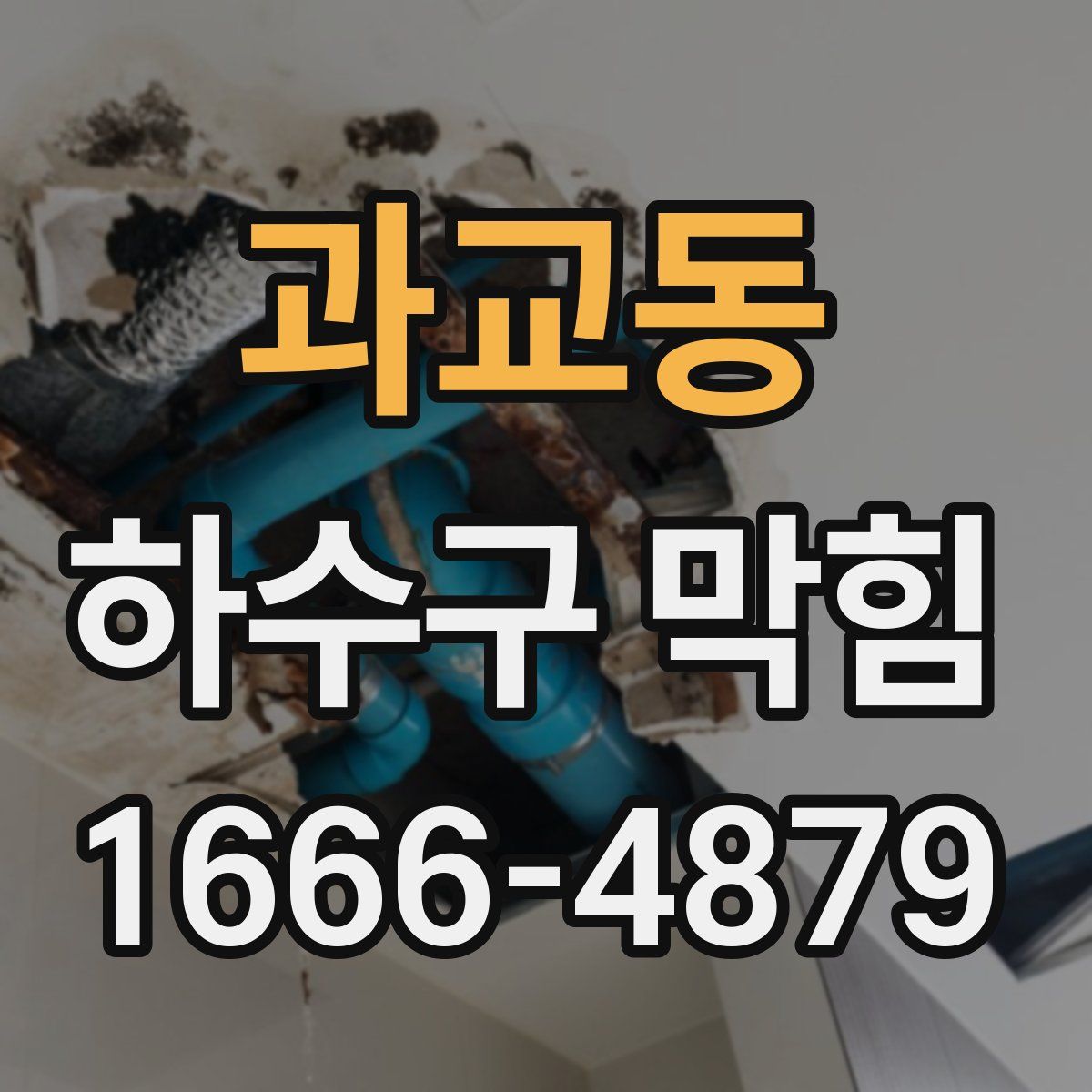 과교동 하수구 막힘