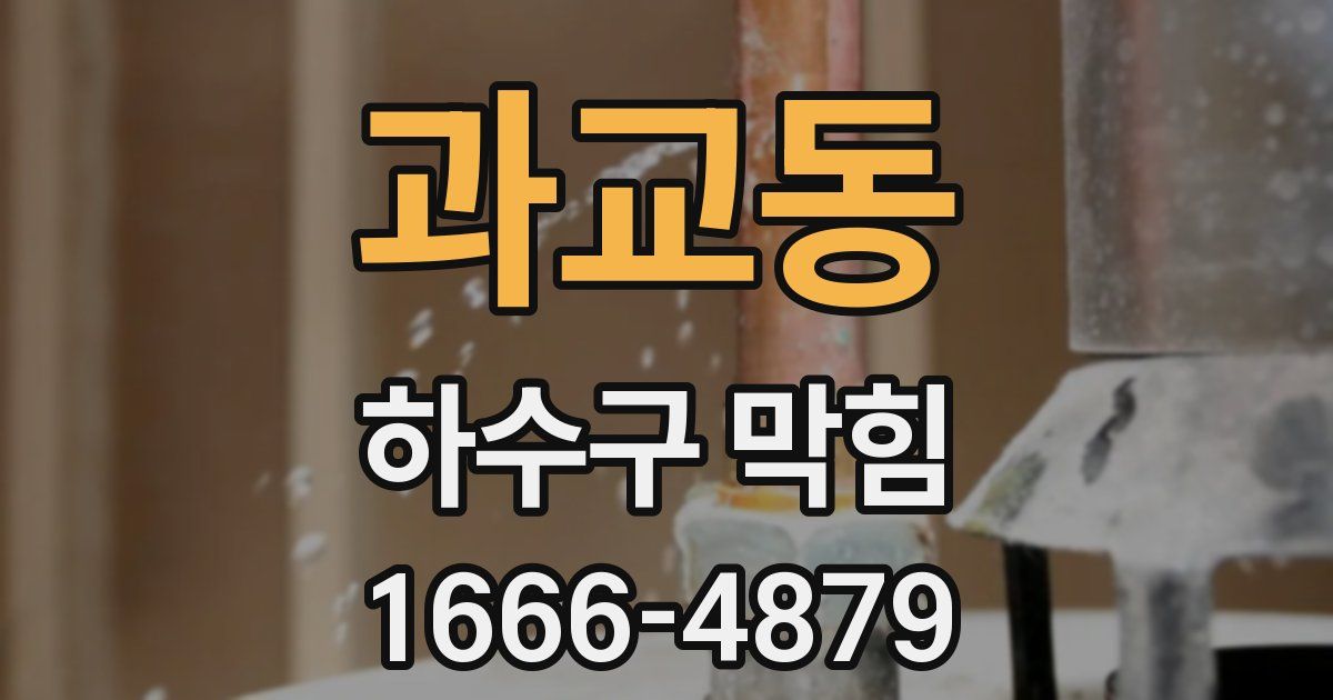 과교동 하수구 막힘