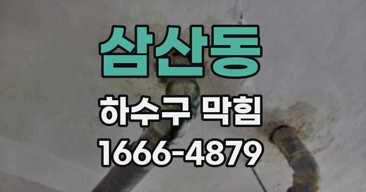 삼산동 하수구 막힘
