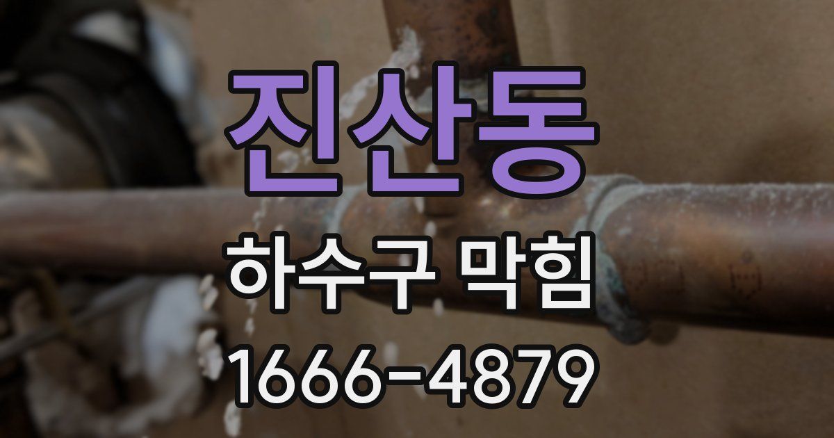 진산동 하수구 막힘