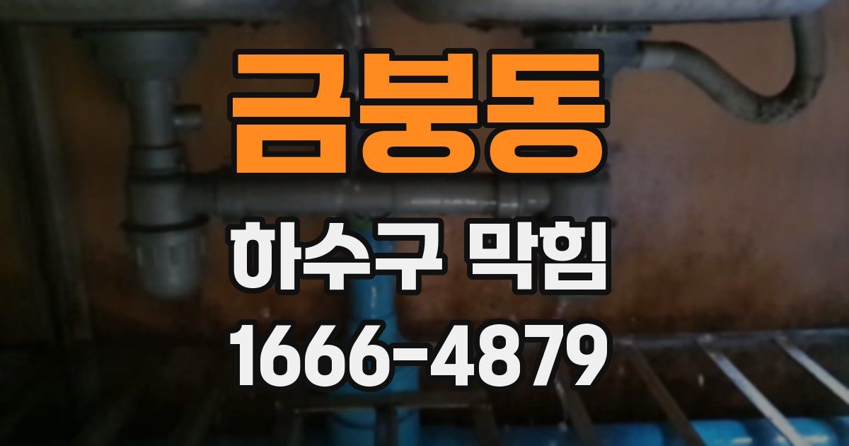 금붕동 하수구 막힘