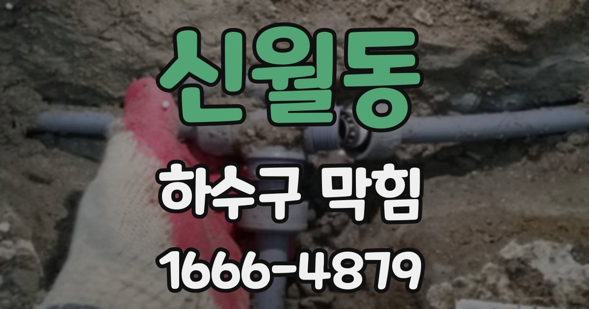 신월동 하수구 막힘