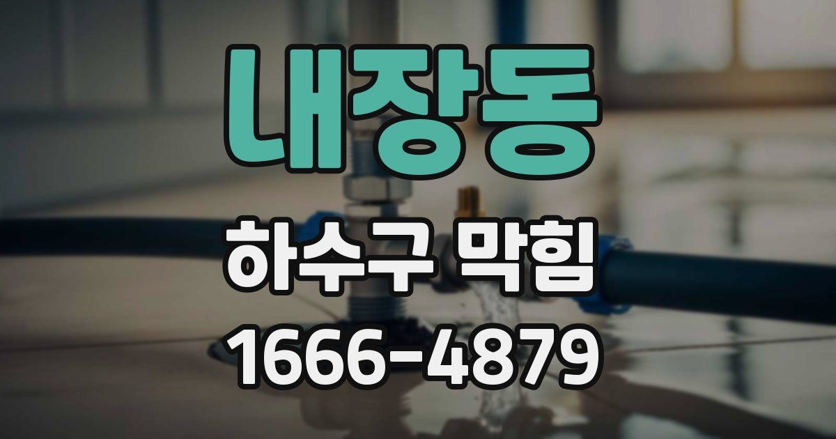 내장동 하수구 막힘