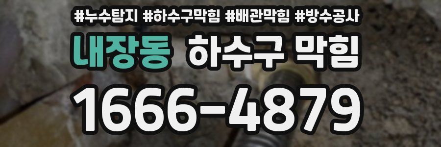 내장동 하수구 막힘