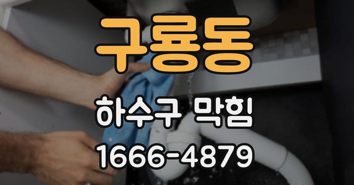 구룡동 하수구 막힘