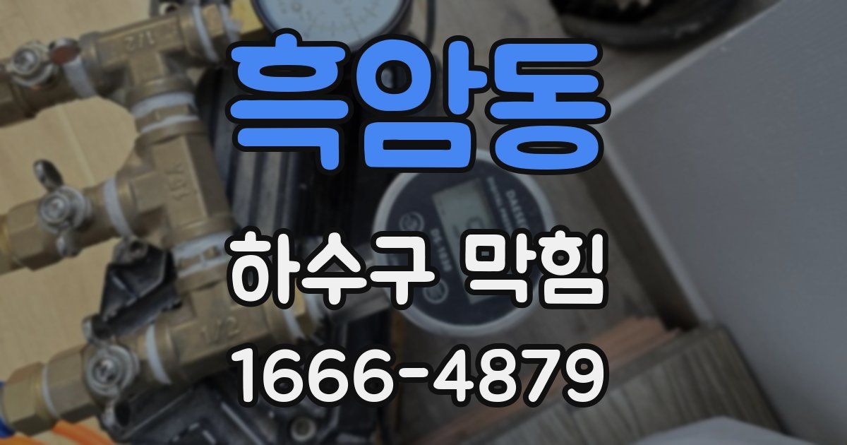 흑암동 하수구 막힘