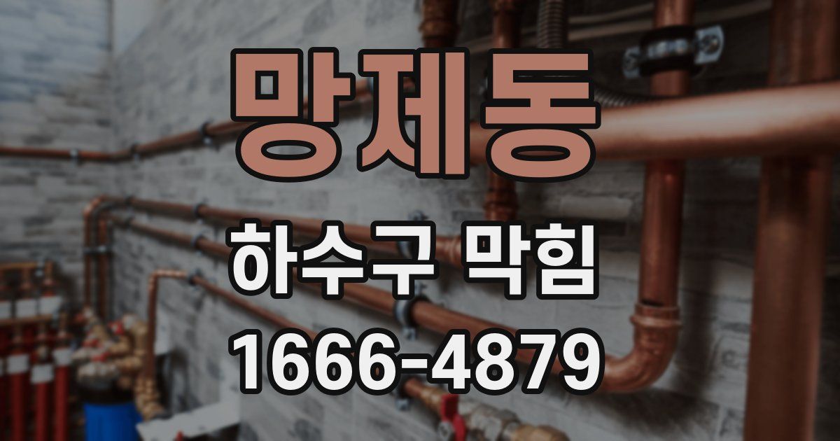 망제동 하수구 막힘