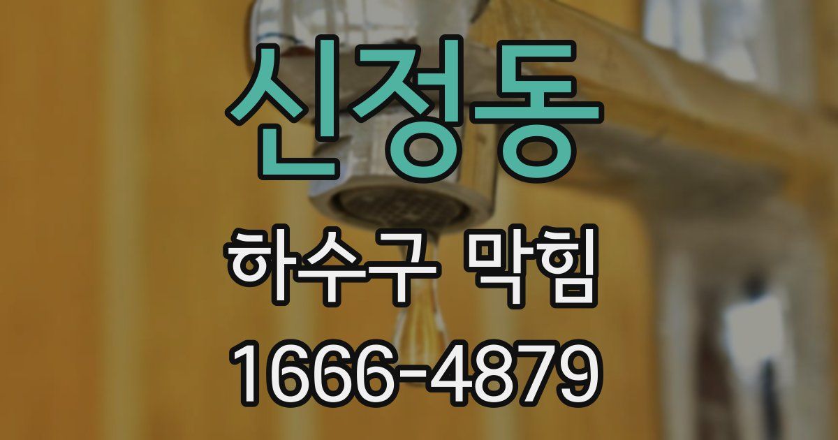 신정동 하수구 막힘