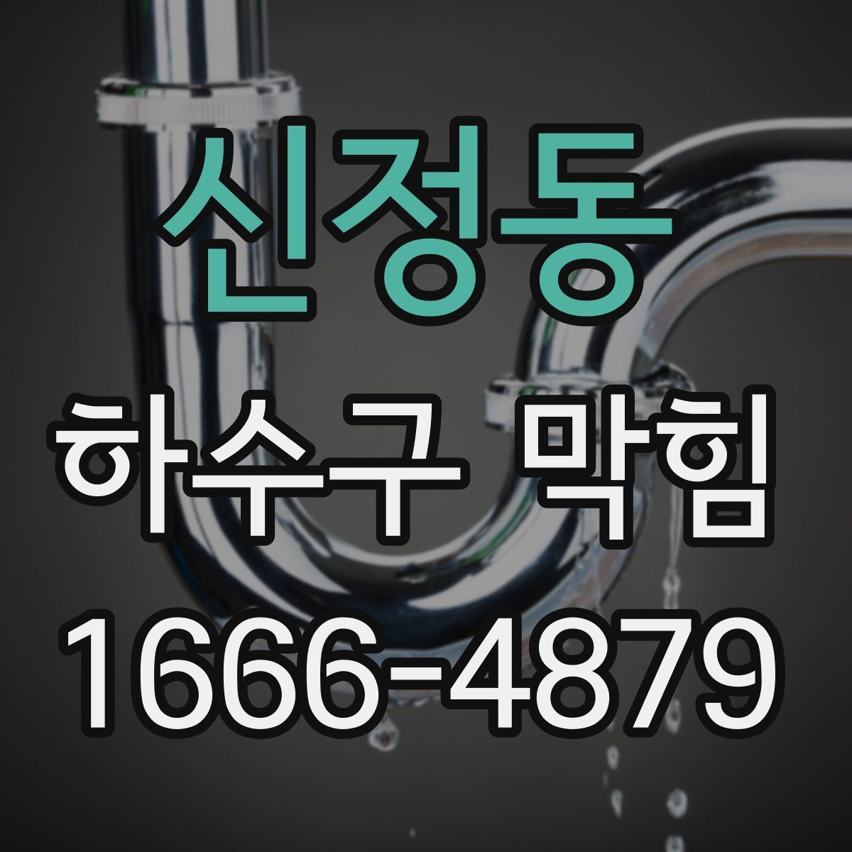 신정동 하수구 막힘