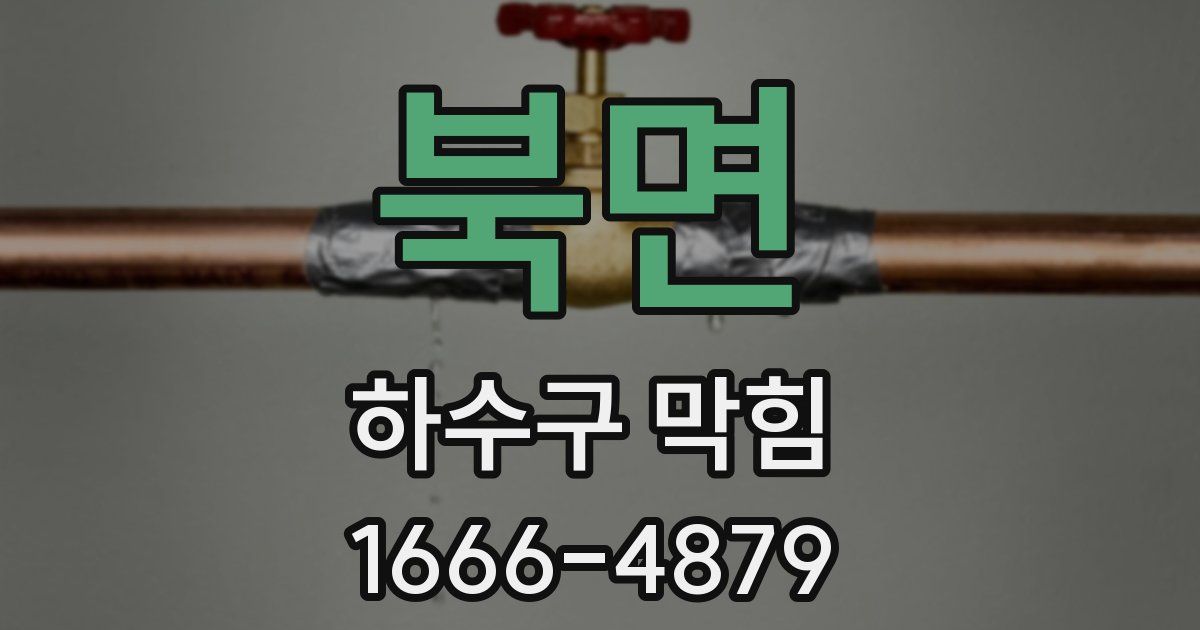 북면 하수구 막힘
