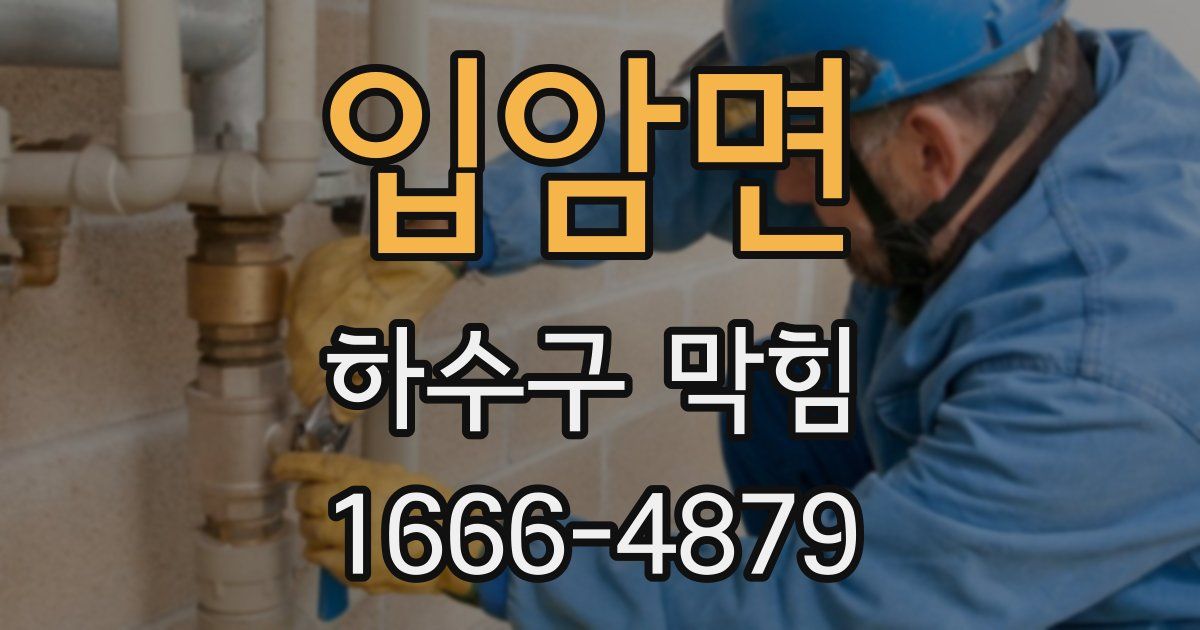입암면 하수구 막힘