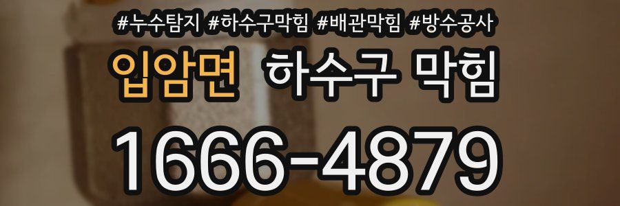 입암면 하수구 막힘