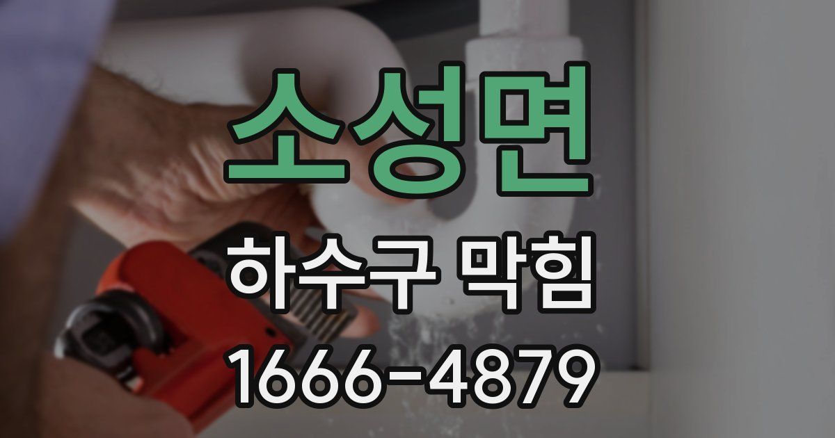 소성면 하수구 막힘