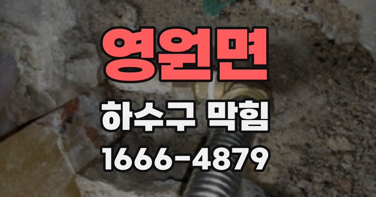 영원면 하수구 막힘