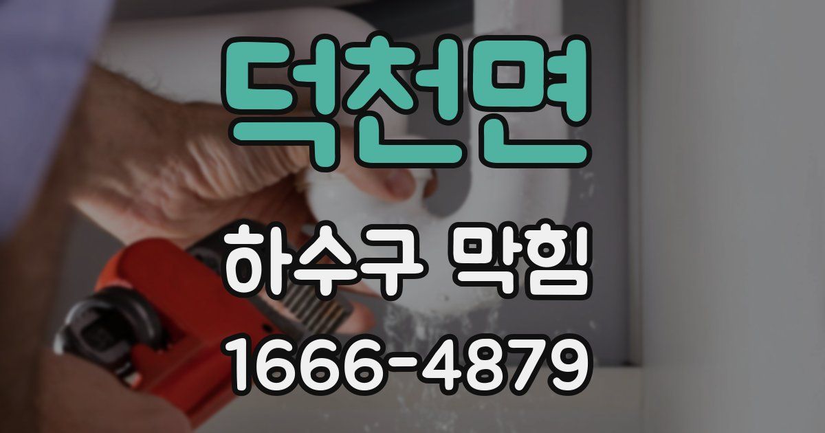 덕천면 하수구 막힘