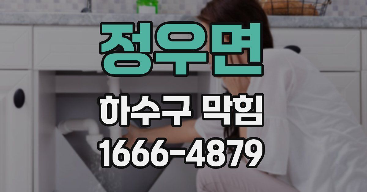 정우면 하수구 막힘